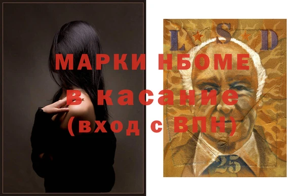 индика Аркадак