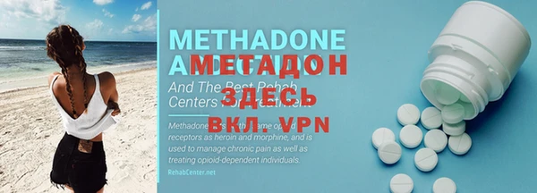 индика Аркадак