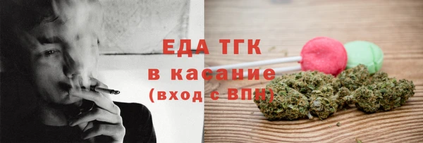 индика Аркадак