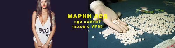 PSILOCYBIN Армянск