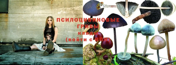 синтетический гашиш Арсеньев
