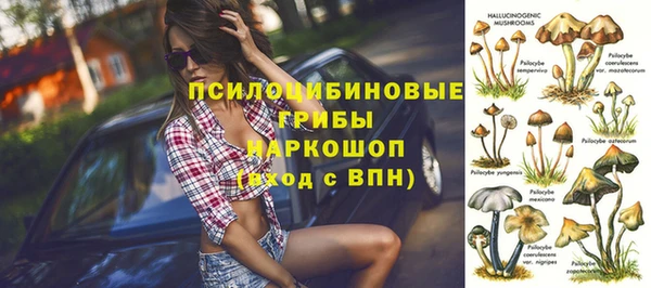 PSILOCYBIN Армянск