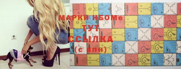 индика Аркадак