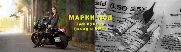 PSILOCYBIN Армянск