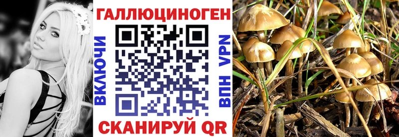 Галлюциногенные грибы Cubensis  Ирбит 